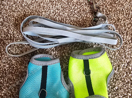 2 harness