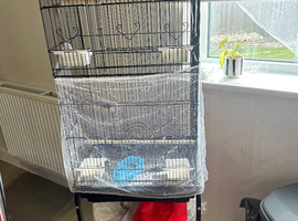 Birds cage