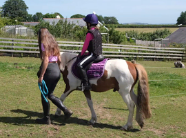 Trick and riding pony