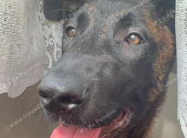 Spyro  needs a new home !!!