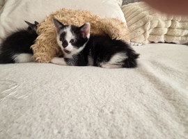 2lovely babies