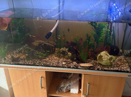 Fish tank, large. Everything included.