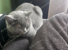 Beautiful lady Luna