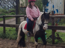 Cash 11.2hh