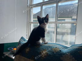 Ready for new homes