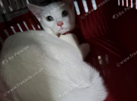 Marie