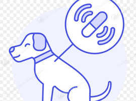 Surrey And Hampshire Pet Microchipping Service
