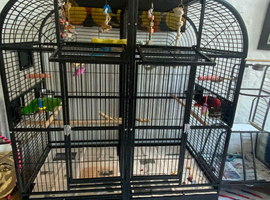 Incredibly spacious parrot cage with optional central divider