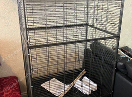 Large bird / parrot cage