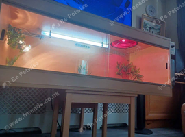 Vivarium 4foot with electrics