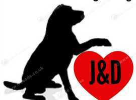 Janine and Darren's Dog Walking and Pet Sitting Service