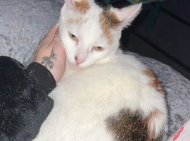 2 year old baby girl