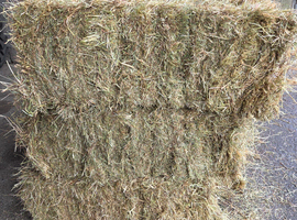 2026 hay/haylage/straw