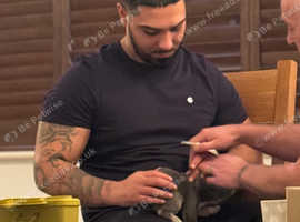 Microchipping welcoming all companion pets
