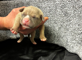 1male and 2girls left