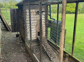 Poultry house and run
