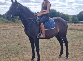 Allrounder/happy hack