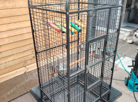 Parrot cage