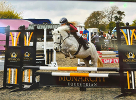 Super Childs pony