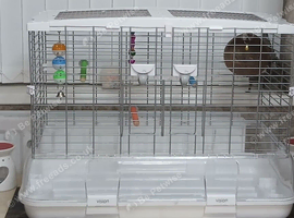 Vision bird cage