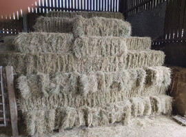 Small Hay Bales, Better than Organic Standard