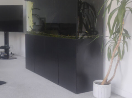 Endler guppies & mollies