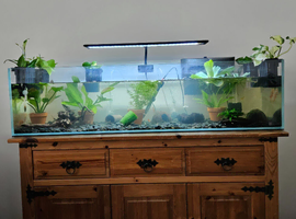 AquaOne Opti Clear 90L Tank