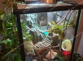 Exo Terra 45x45x60 bio tank