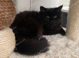 Please give me a home