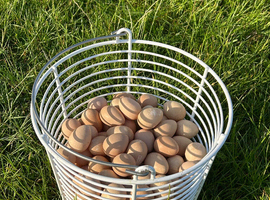 Guinea fowl eggs for sale & keets