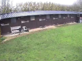 Stable and grazing swillington leeds LS26