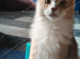 Beautiful boy