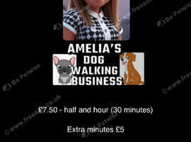 Dog walking service