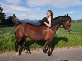 Ideal mother/daughter share, all rounder