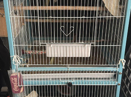 Double flight cage