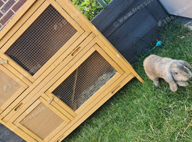 Brand New - Rabbit / Gunnie Pig Hutch for 2