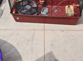 Small animal cage