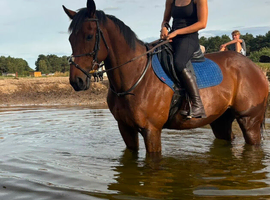 Zuce mother daughter share type