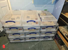 Grab a bargain, snake racking/vivs and accessories