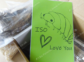 ISO POD-PRO Isopod Box Many Ideal Treats & Things for Isopods + Free Sticker