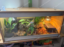 3ft Vivarium