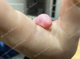 Newborn Babies
