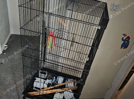 Large tall bird cage and stand
