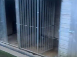 Double dog kennel