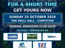 FISHFETE CHEPSTOW October 2026
