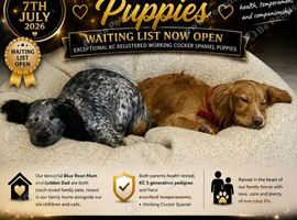 Waiting list open