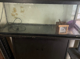 4 foot fish tank with stand for sale