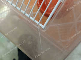 Ferplsst rodent cage with bowl