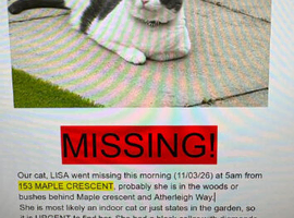 Missing