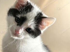Gorgeous little boy